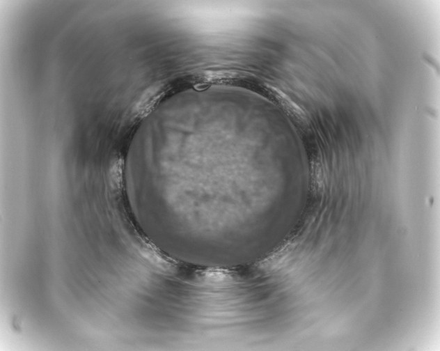 X0000093170475200710241043