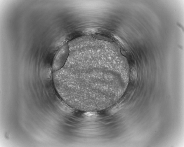 X0000093170477200710241043