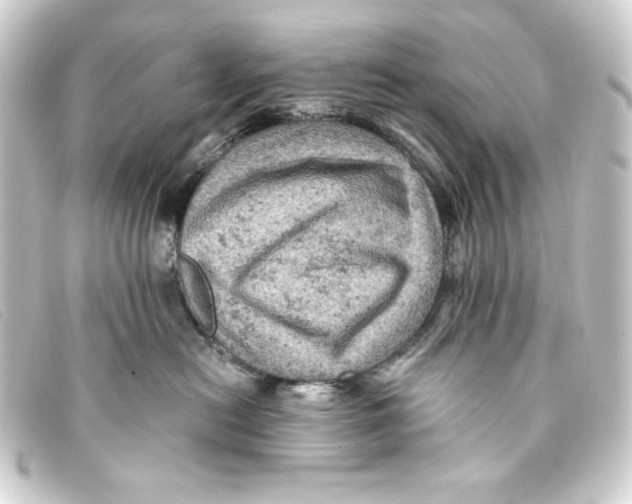 X0000093170478200710241043