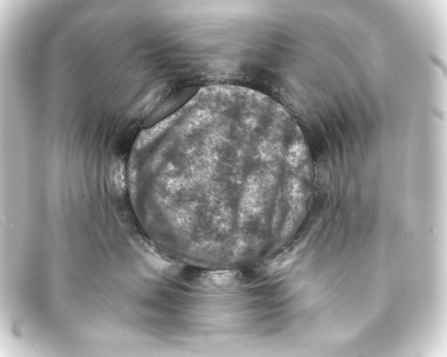 X0000093170479200710241043