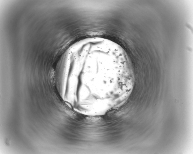 X0000093170480200710241043