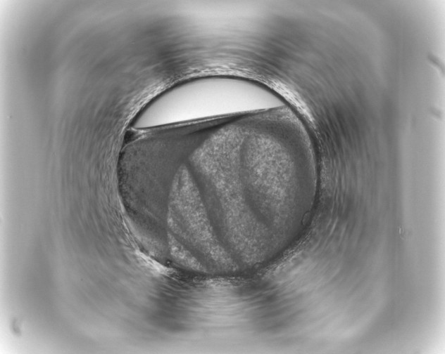 X0000093170481200710241042