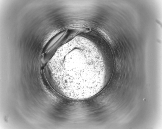 X0000093170482200710241042