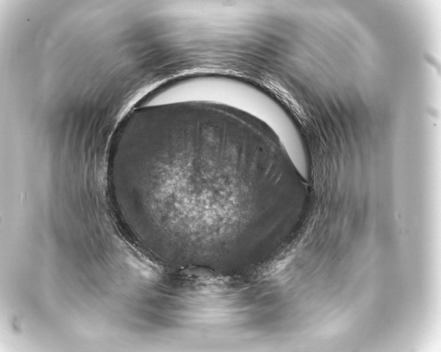 X0000093170484200710241042