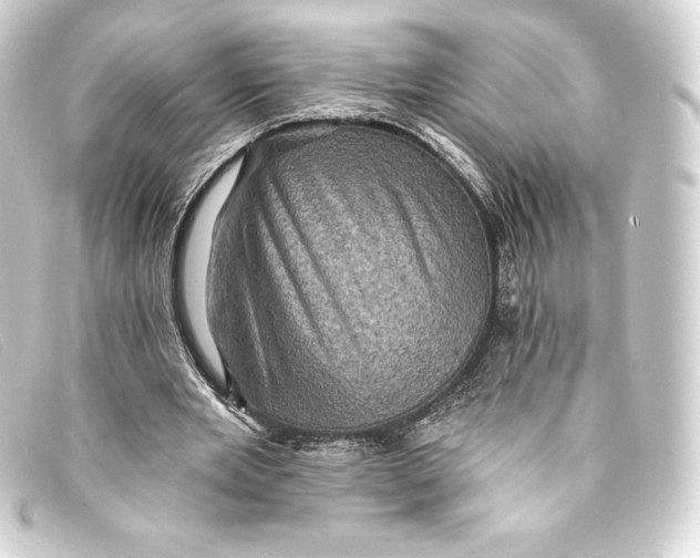 X0000093170485200710241042