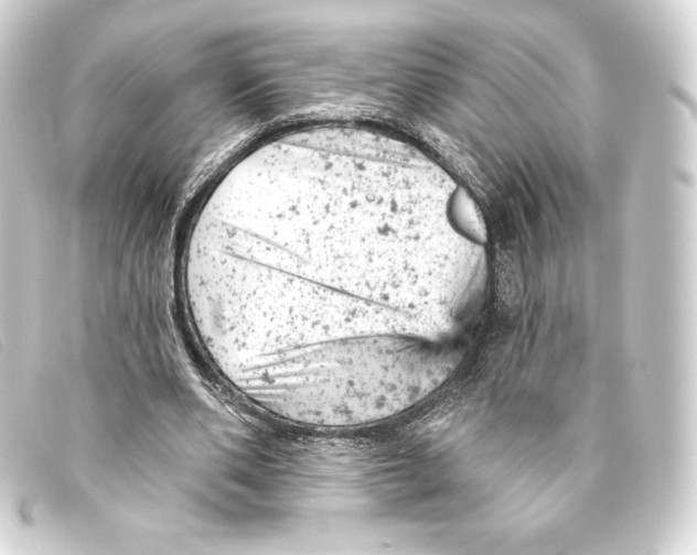 X0000093170486200710241042