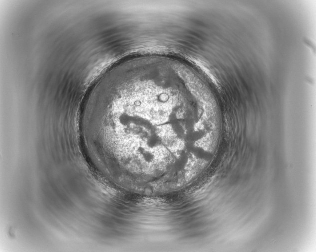 X0000093170487200710241042