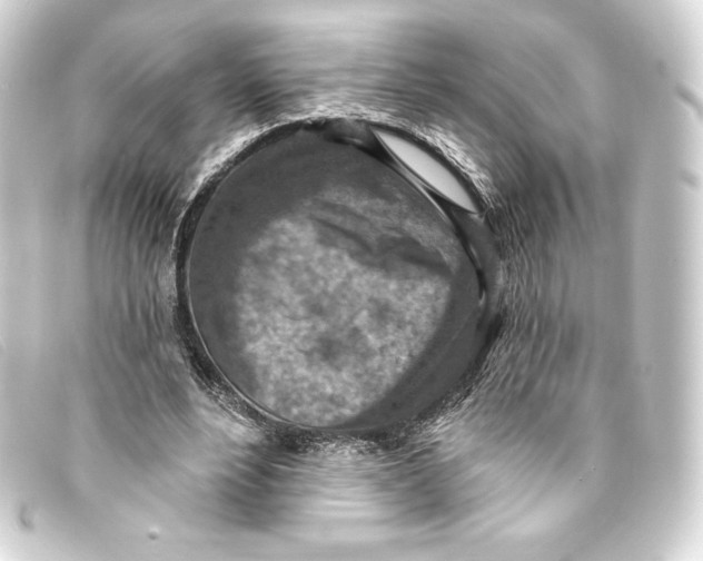 X0000093170488200710241042