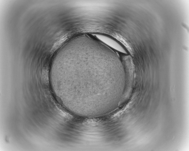 X0000093170489200710241042