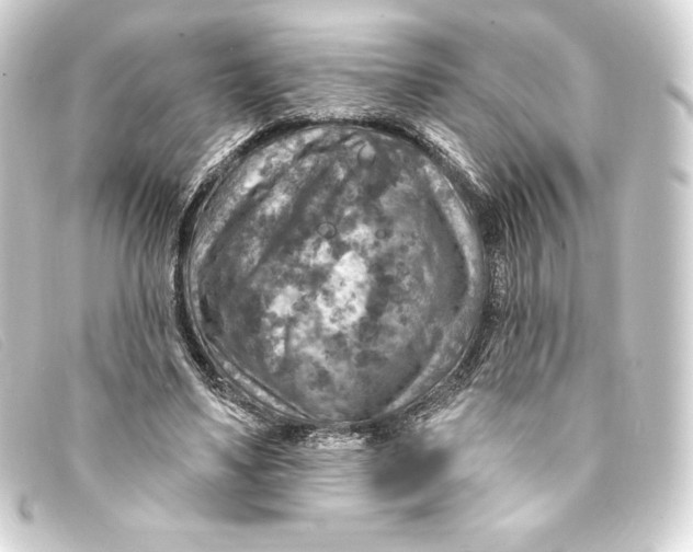 X0000093170491200710241042