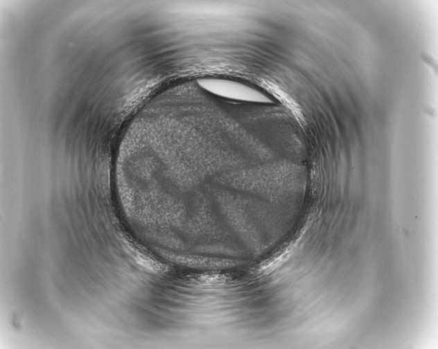 X0000093170493200710241042