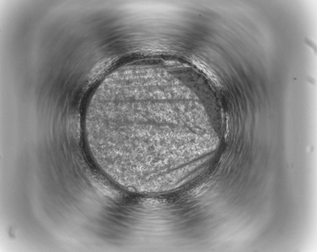 X0000093170494200710241042