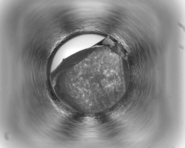 X0000093170496200710241042