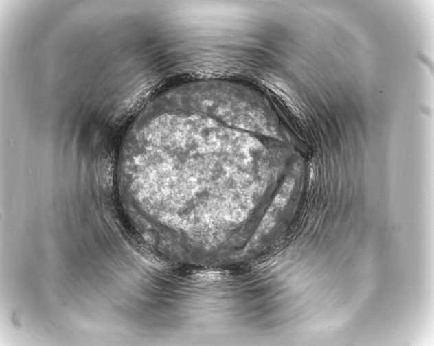 X0000093170499200710241042