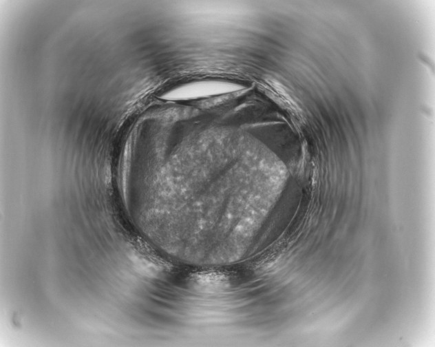 X0000093170500200710241042