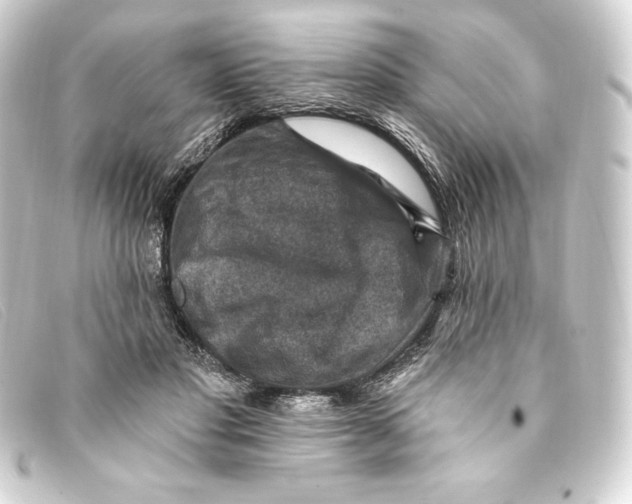 X0000093170501200710241042