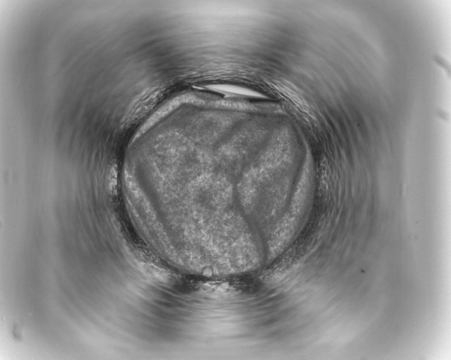 X0000093170502200710241042