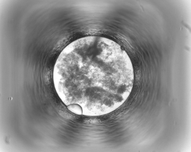 X0000093170503200710241042