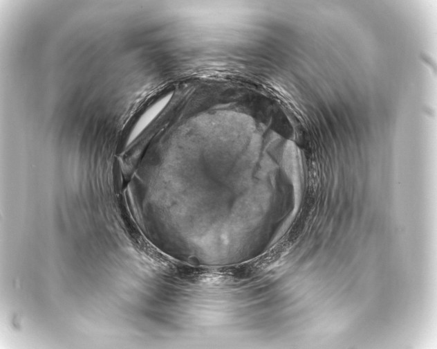 X0000093170504200710241042