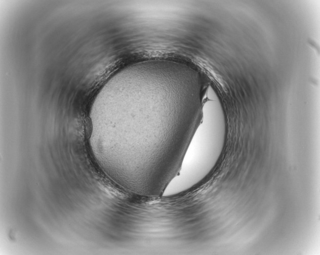 X0000093170505200710241042