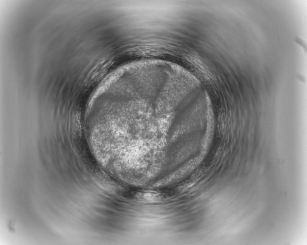 X0000093170506200710241042