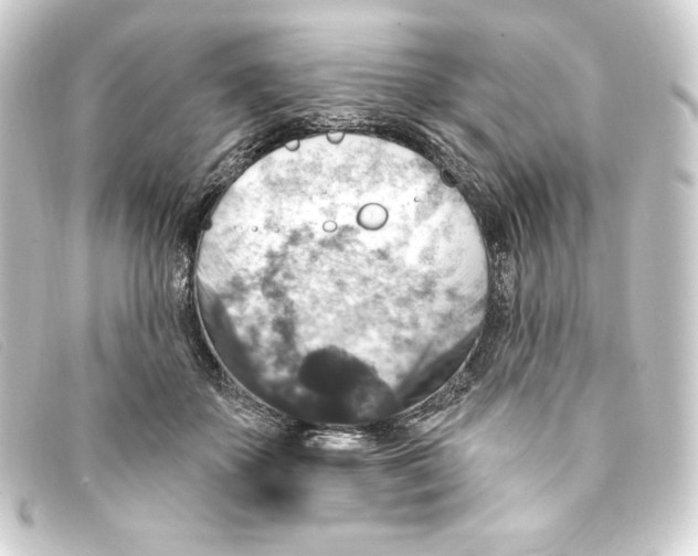 X0000093170507200710241042