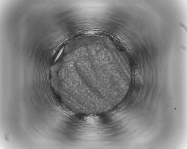 X0000093170508200710241042