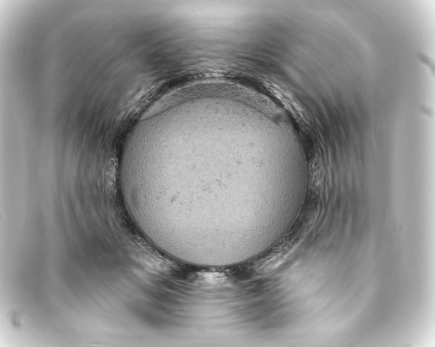 X0000093170509200710241042