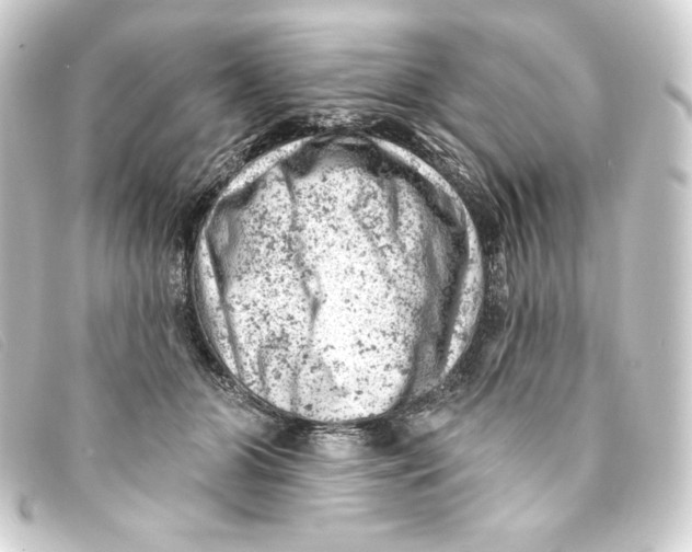 X0000093170510200710241042