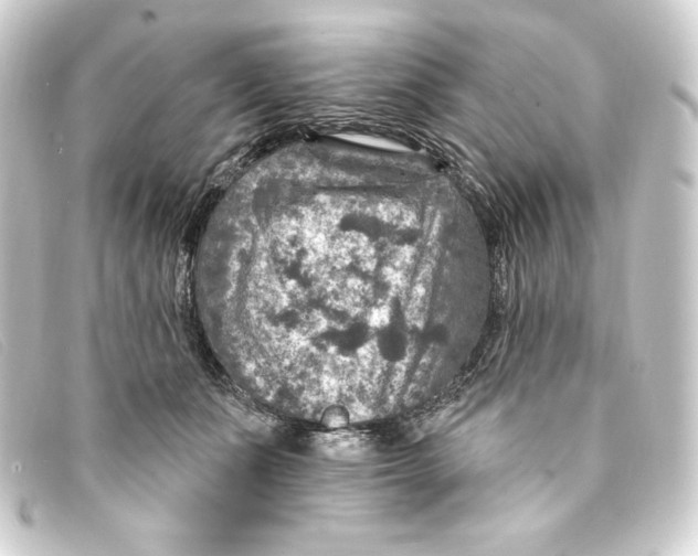 X0000093170511200710241042