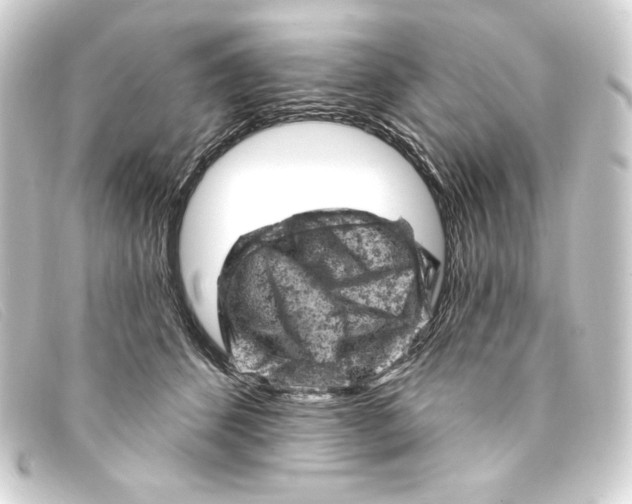 X0000093170512200710241042