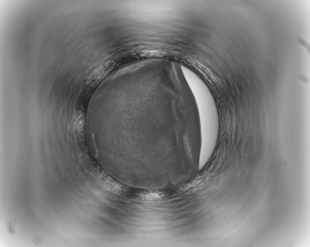 X0000093170513200710241042