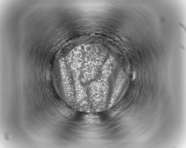 X0000093170515200710241042