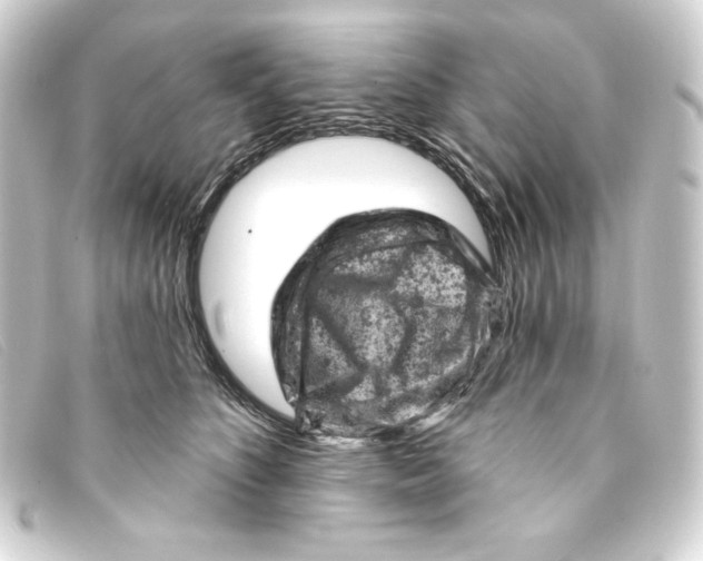 X0000093170516200710241042