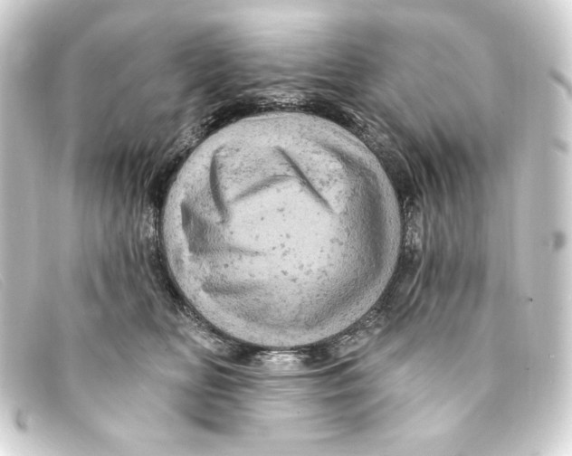 X0000093170518200710241042