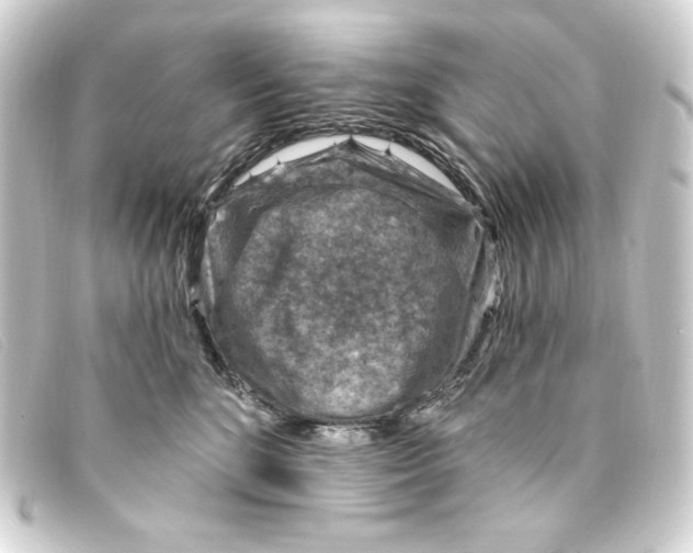 X0000093170520200710241042