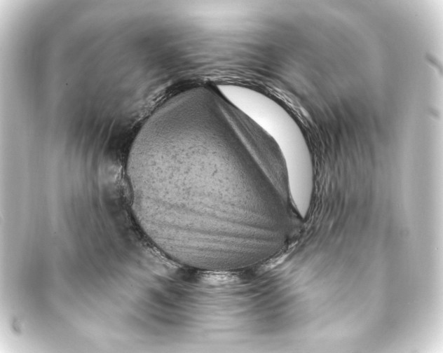 X0000093170521200710241042