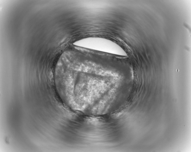 X0000093170523200710241042