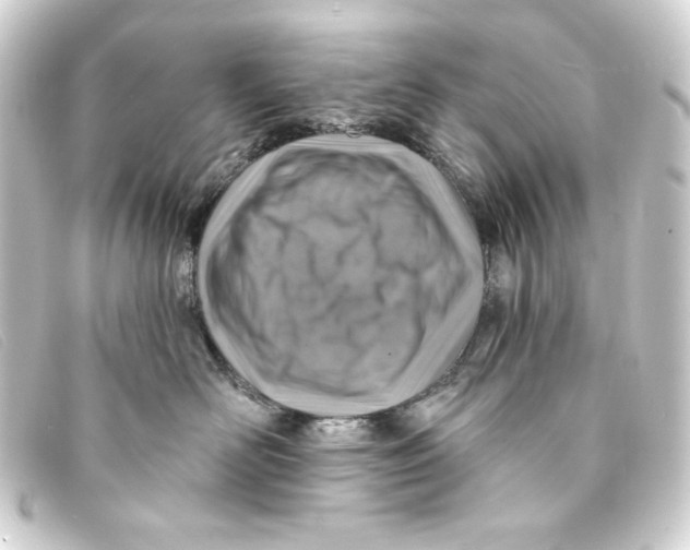 X0000093170526200710241042