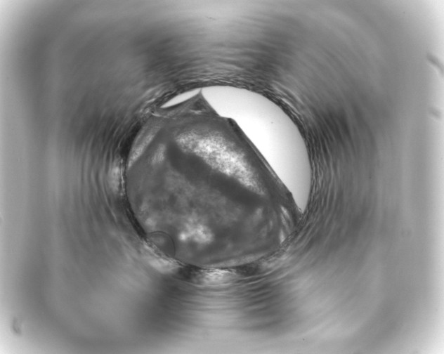 X0000093170527200710241042