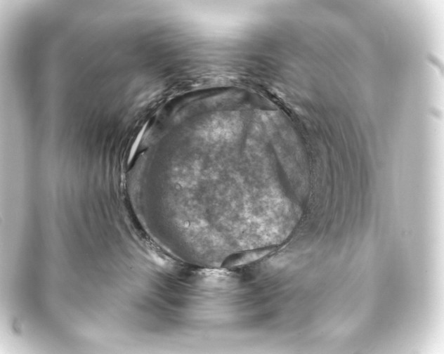 X0000093170528200710241042