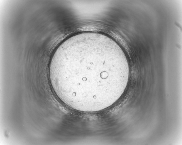 X0000093170529200710241041