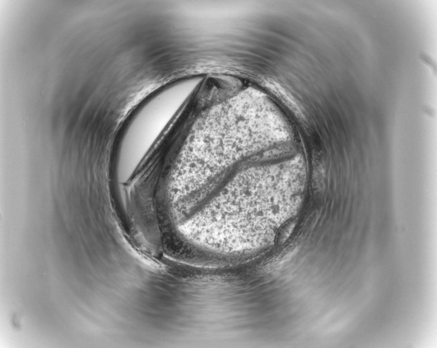 X0000093170530200710241041