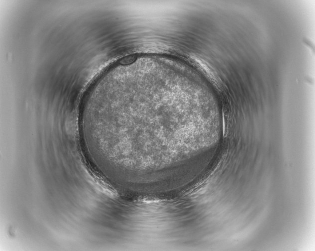 X0000093170531200710241041