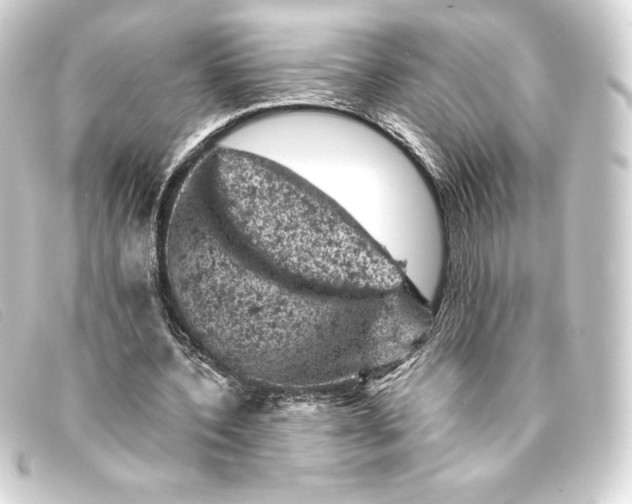 X0000093170532200710241041