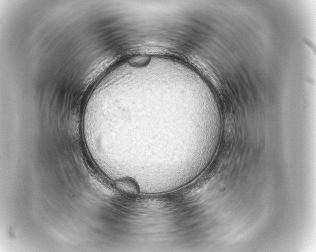 X0000093170533200710241041