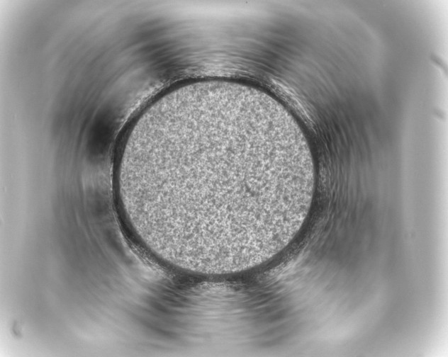 X0000093170534200710241041