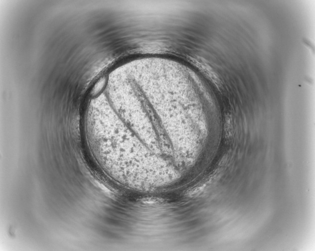 X0000093170535200710241041