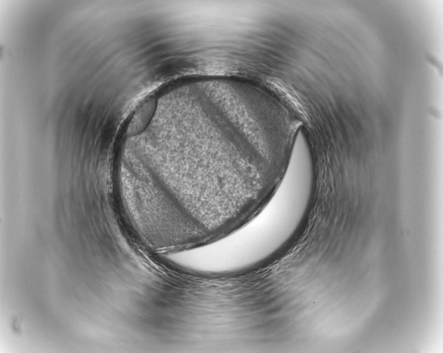 X0000093170536200710241041