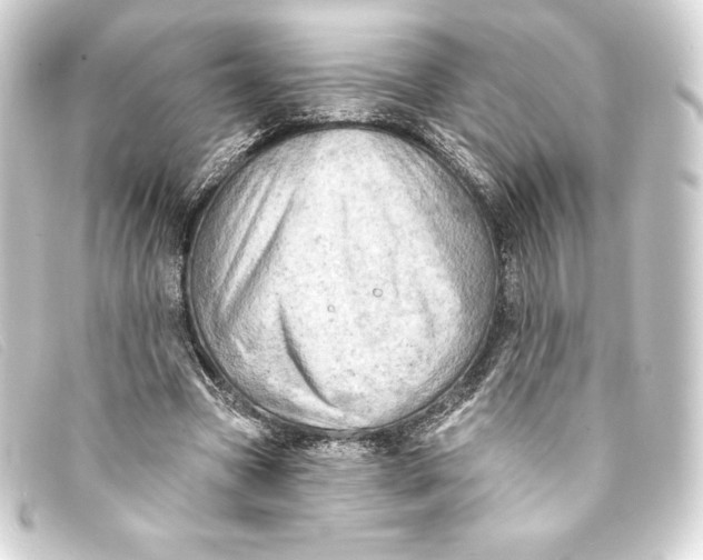 X0000093170537200710241041